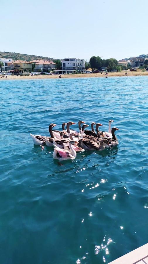 Ege Otel Çeşme Buitenkant foto